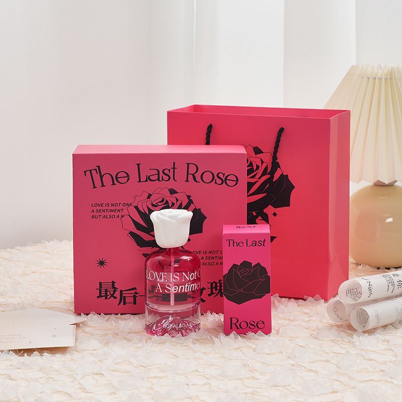Home Fragrance Set Gift - Premium Reed Diffusor Öle Geschenkset mit