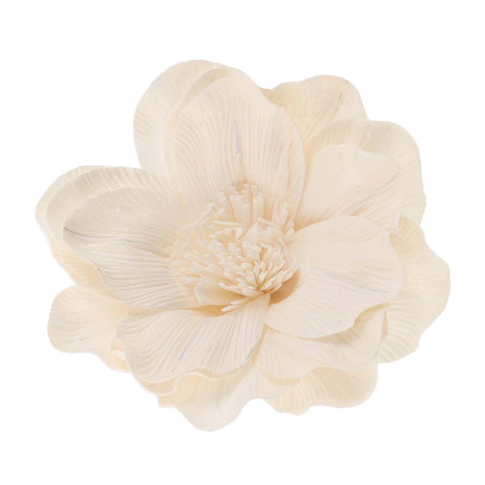 Lilienblüten-Aromatherapie-Dif – Home Fragrance Leather Diffuser Bewertung und Preis